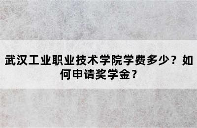 武汉工业职业技术学院学费多少？如何申请奖学金？