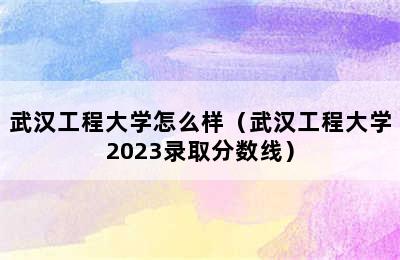 武汉工程大学怎么样（武汉工程大学2023录取分数线）