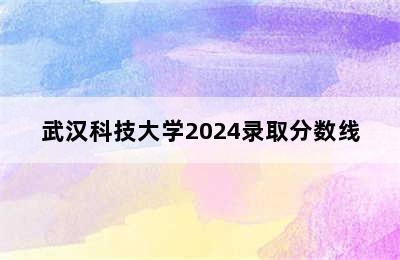 武汉科技大学2024录取分数线