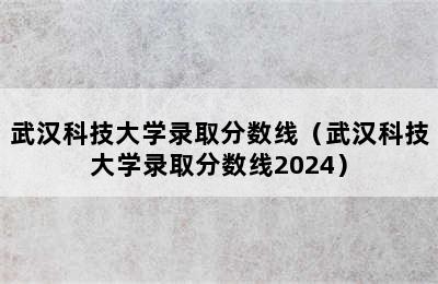 武汉科技大学录取分数线（武汉科技大学录取分数线2024）