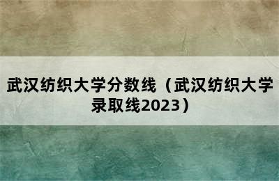 武汉纺织大学分数线（武汉纺织大学录取线2023）