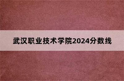 武汉职业技术学院2024分数线