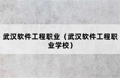 武汉软件工程职业（武汉软件工程职业学校）