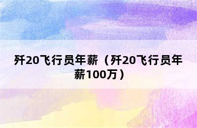 歼20飞行员年薪（歼20飞行员年薪100万）