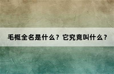 毛概全名是什么？它究竟叫什么？