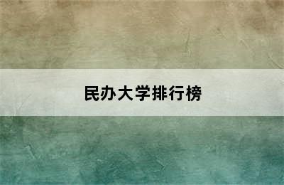 民办大学排行榜