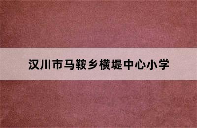 汉川市马鞍乡横堤中心小学