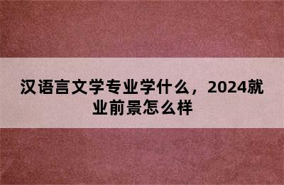 汉语言文学专业学什么，2024就业前景怎么样