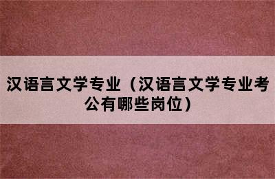 汉语言文学专业（汉语言文学专业考公有哪些岗位）