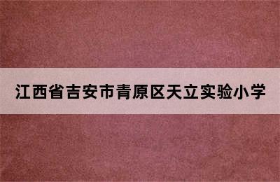 江西省吉安市青原区天立实验小学