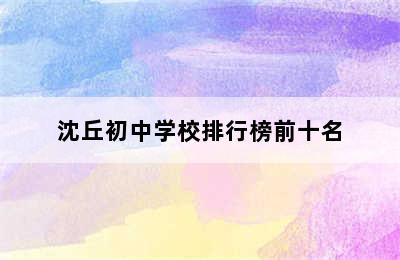 沈丘初中学校排行榜前十名