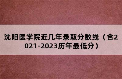 沈阳医学院近几年录取分数线（含2021-2023历年最低分）