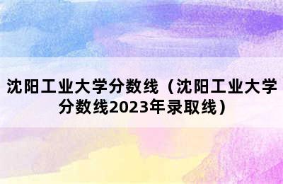 沈阳工业大学分数线（沈阳工业大学分数线2023年录取线）