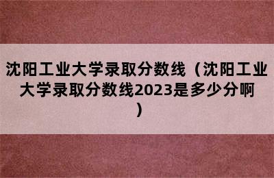 沈阳工业大学录取分数线（沈阳工业大学录取分数线2023是多少分啊）