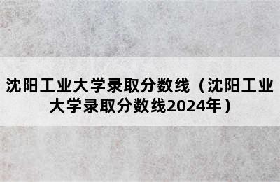 沈阳工业大学录取分数线（沈阳工业大学录取分数线2024年）