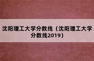 沈阳理工大学分数线（沈阳理工大学分数线2019）