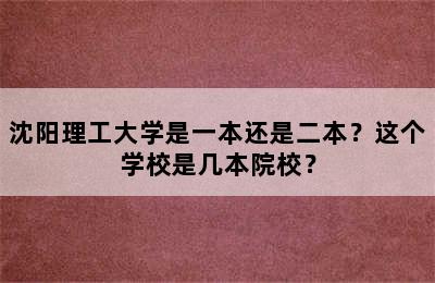 沈阳理工大学是一本还是二本？这个学校是几本院校？