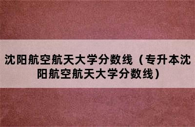 沈阳航空航天大学分数线（专升本沈阳航空航天大学分数线）