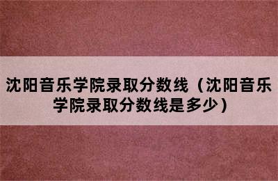 沈阳音乐学院录取分数线（沈阳音乐学院录取分数线是多少）