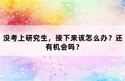 没考上研究生，接下来该怎么办？还有机会吗？