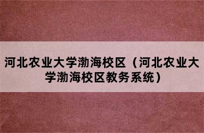 河北农业大学渤海校区（河北农业大学渤海校区教务系统）