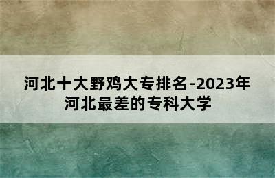 河北十大野鸡大专排名-2023年河北最差的专科大学