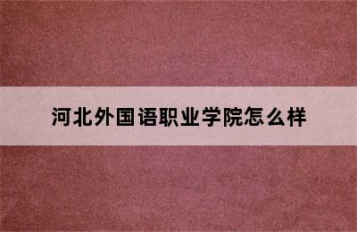 河北外国语职业学院怎么样