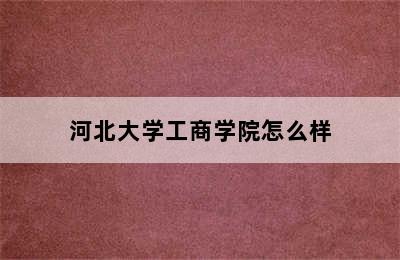 河北大学工商学院怎么样