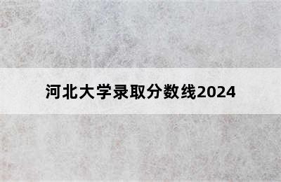 河北大学录取分数线2024