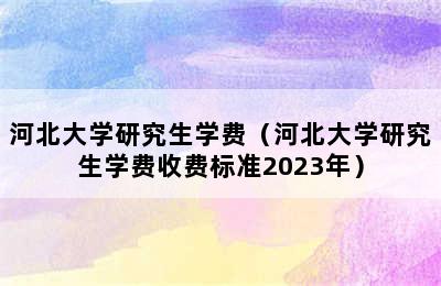 河北大学研究生学费（河北大学研究生学费收费标准2023年）