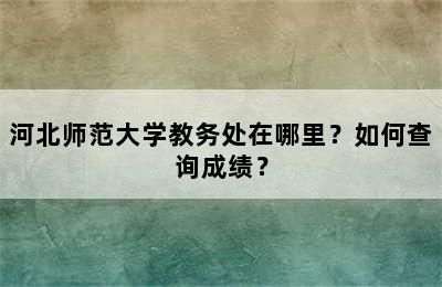 河北师范大学教务处在哪里？如何查询成绩？