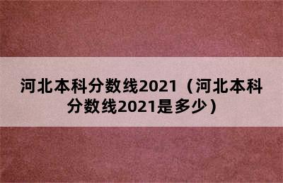 河北本科分数线2021（河北本科分数线2021是多少）