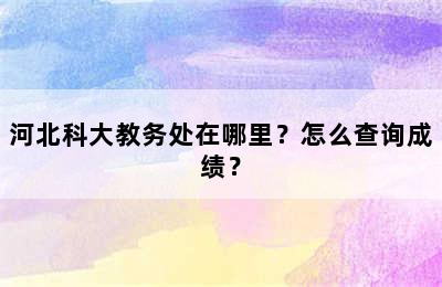 河北科大教务处在哪里？怎么查询成绩？