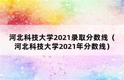 河北科技大学2021录取分数线（河北科技大学2021年分数线）