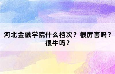 河北金融学院什么档次？很厉害吗？很牛吗？