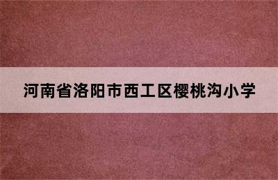 河南省洛阳市西工区樱桃沟小学