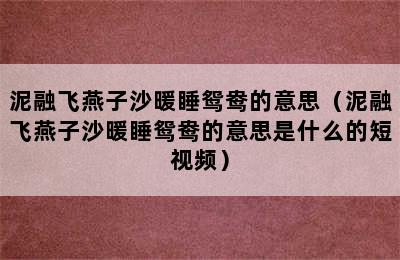 泥融飞燕子沙暖睡鸳鸯的意思（泥融飞燕子沙暖睡鸳鸯的意思是什么的短视频）