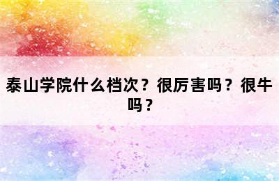 泰山学院什么档次？很厉害吗？很牛吗？