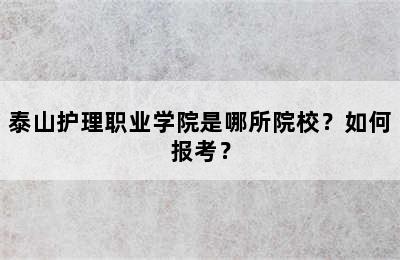 泰山护理职业学院是哪所院校？如何报考？