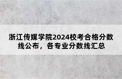 浙江传媒学院2024校考合格分数线公布，各专业分数线汇总