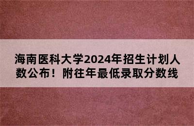 海南医科大学2024年招生计划人数公布！附往年最低录取分数线