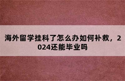 海外留学挂科了怎么办如何补救，2024还能毕业吗