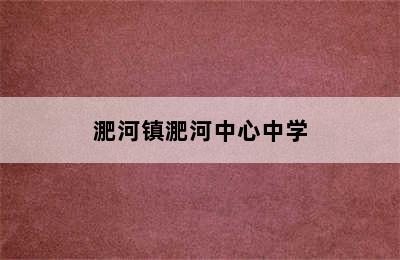 淝河镇淝河中心中学