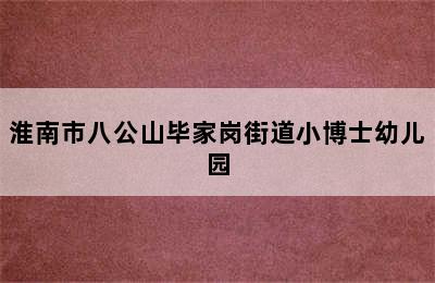 淮南市八公山毕家岗街道小博士幼儿园