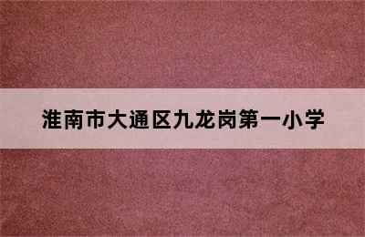 淮南市大通区九龙岗第一小学