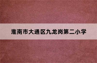 淮南市大通区九龙岗第二小学