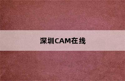 深圳CAM在线