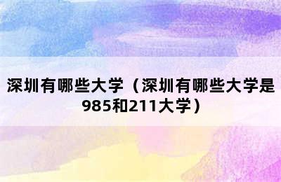 深圳有哪些大学（深圳有哪些大学是985和211大学）