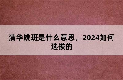 清华姚班是什么意思，2024如何选拔的