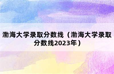 渤海大学录取分数线（渤海大学录取分数线2023年）